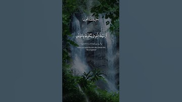 سورة الماعون بصوت جميل ومأثر ❤ #اكسبلور #القرآن_الكريم #المصحف #المغرب