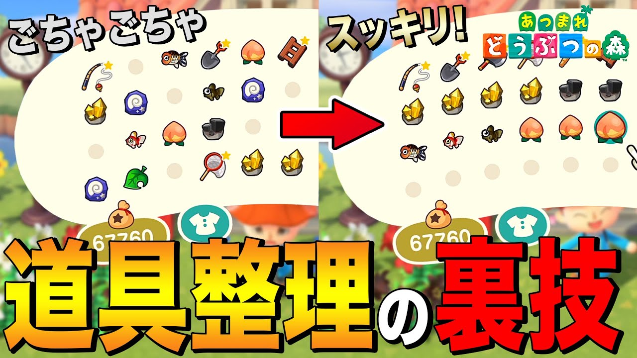 どうぶつ の 森 ポケット 整頓 テクニック