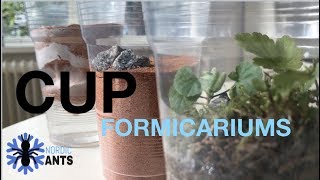 DIY  3 very cheap FORMICARIUMS