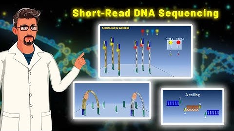 Introduction to Short-Read Sequencing Technology: Workflow and Applications Explained