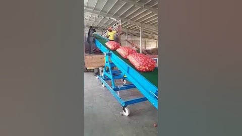 Godown, Warehouse Bags Handling conveyor Systems