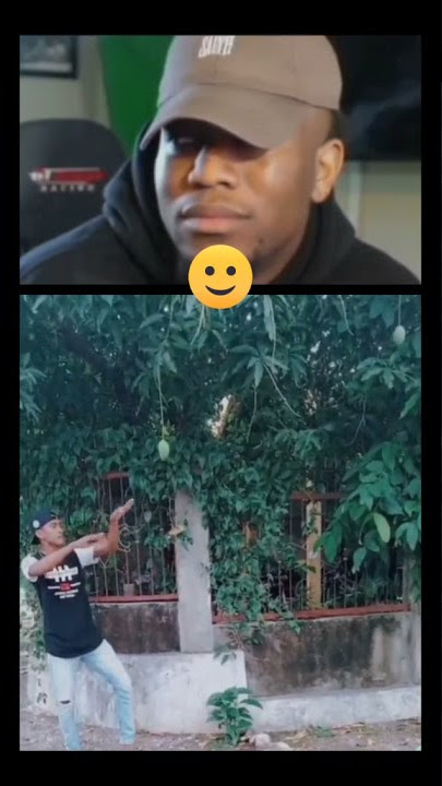 Mencuri Mangga Dengan Gaya😆