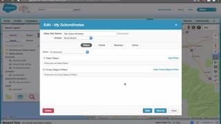 Manager Views in Geopointe by Role Hierarchy