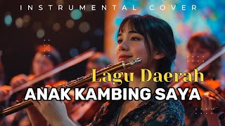 Anak Kambing Saya (Epic Instrumental Cover) Indonesian Folk Song