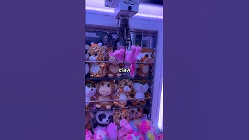 I Found an Axolotl Claw Machine! 😱 #shorts #axolotl #clawmachine