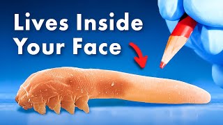 Everything You Didnt Know About Organisms Living Inside You