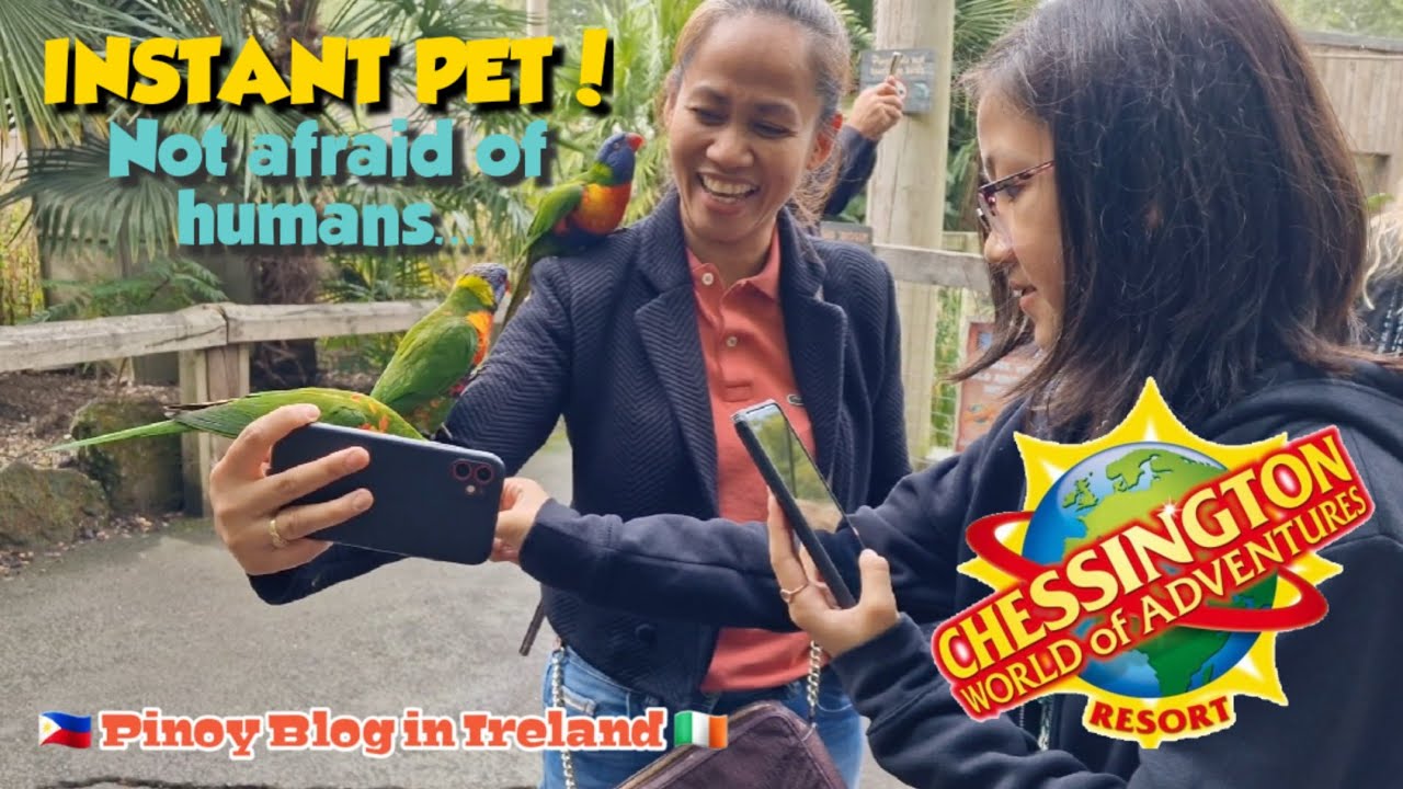 LORIKEET LAGOON 🦜 CHESSINGTON WORLD OF ADVENTURE 😍 BIRDS WALK W/ SUPER FRIENDLY PARROTS 🌞 JnC CORNER