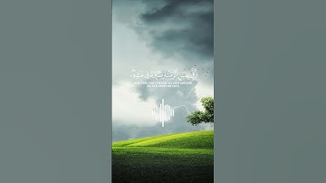 #نعيم القران الكريم ♥️♥️ الشيخ ياسر الدوسري