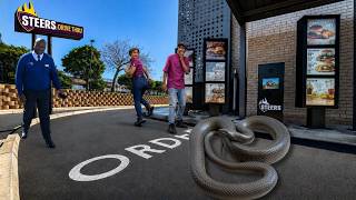 HUGE Snake At The Drive Thru