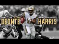 Deonte Harris Rookie Highlights | "Dynamic" ᵂᴰ⁴ᴸ