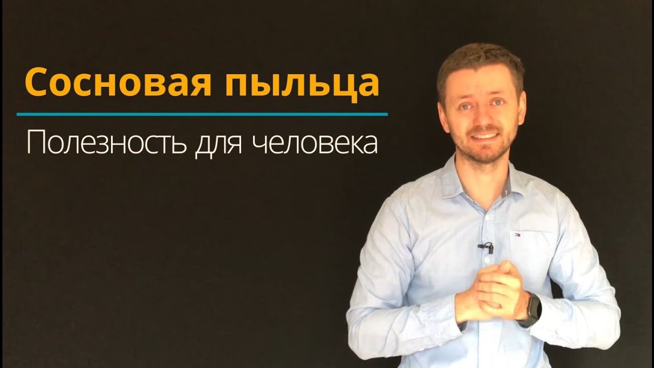 Пыльца сосны - Свойства | Полезность | Рекомендации