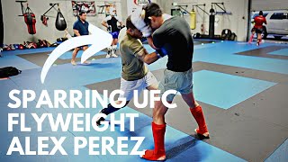 Hard Sparring #5 Ranked UFC Flyweight Alex Perez