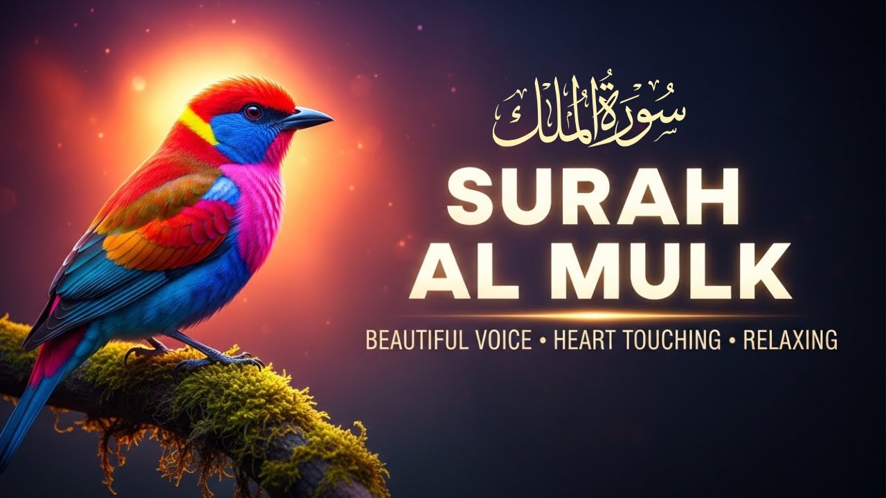 Surah Al Mulk | Beautiful & Heart Touching Qur’an Recitation | With Holy Qur'an Audio