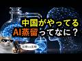 AIの「蒸留」ってなんですか?なぜ米国ブチギレる?