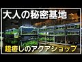 まるで水族館のような超癒しのアクアショップ‼　【アクアスタジオ・ネイチャー】aquarium　アクアリウム　シュリンプ　熱帯魚　熱帯植物　メダカ　水草　流木　海水　サンゴ