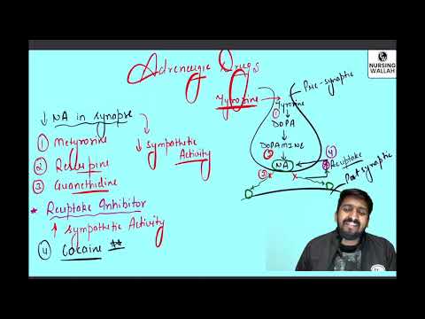 18 Autonomic Nervous System 05   Sympathomimetics Drugs