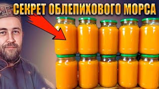видео: Облепиховый морс заготавливаем в зиму Рецепт вкуснейшего витаминного напитка Морс в автоклаве картинка: Облепиховый морс заготавливаем в зиму Рецепт вкуснейшего витаминного напитка Морс в автоклаве