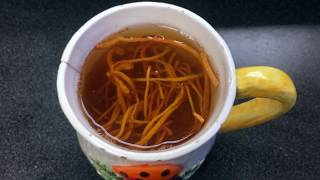 Cordyceps Militaris Tea and Fried Egg Recipe: GET FULL MILAGE OUT OF YOUR MUSHROOMS