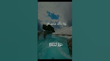 سورة البقرة بصوت مريح #duet #الرحمن #اكسبلور #الله