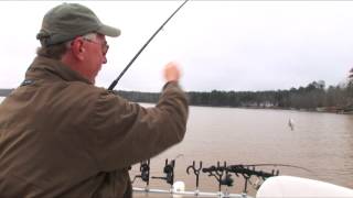 Spider Rigging For Crappie.mp4