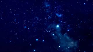夜のはなぶさ