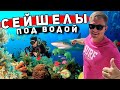 СЕЙШЕЛЫ под ВОДОЙ - дайвинг ночью! Остров Праслин и секретный фрукт!