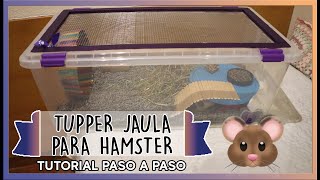 ¿Cómo hacer una TUPPER JAULA y una RULETA para mi hámster? | DIY tutorial paso a paso | MOA's World