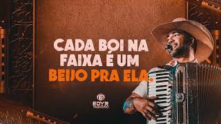 O REI DO GADO - Edyr Vaqueiro (Lyric Video)
