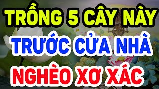 Trồng 5 Cây Này TRƯỚC CỬA Nhà Bảo Sao NGHÈO BỀN VỮNG, Làm Mãi Không Giàu Cả Nhà Ốm Triền Miên| LĐTH