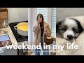 WEEKEND IN MY LIFE | puppy updates, fall soup recipe, patio upgrades &amp; having a heart to heart