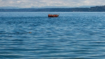 How AI affects our environment