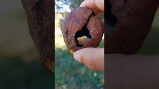 Bu Yavru Kuş Buraya Sizce Nasıl Girdi Resimi