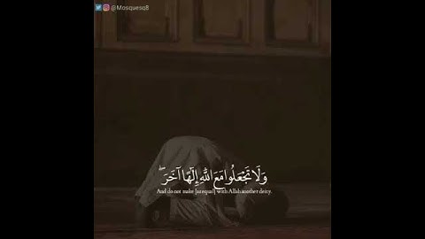 حالات واتس اب دينية تلاوة خاشعة ففروا الى الله انى لكم منه نذير مبين