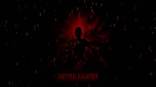 Meshuggah - Bleed (Remastered)