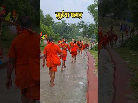 सुईया पहाड़ का चढ़ाई | Suiya Pahad 2026 #kawaryatra2026 #bolbam #Deoghar