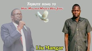 Late Hon. Mayen Wol Jong By Liu Mangar 
