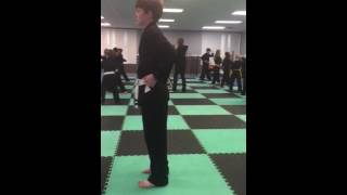 Bradleys 15 Basics Isshin-Ryu
