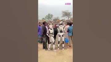 Funny Robots😂😆 #shorts #youtubeshorts #robot #robotics #robotvideo #robots #funny #funnyvideo#comedy