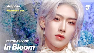 Zerobaseone – In Bloom (Japanese Ver.) | Acapella