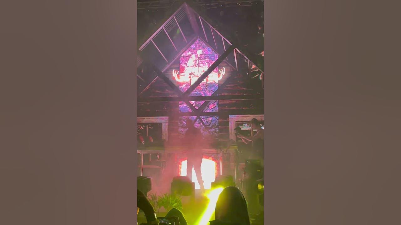 Of The Trees + Spanish Moss = Life Complete #edm #edmmusic #bassmusic #bass