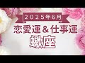 【蠍座】さそり座🌈2025年6月💖の運勢✨✨✨仕事とお金・恋愛・パートナーシップ［未来視タロット占い］