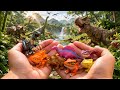 Finding Colorful Toy Dinosaurs | Pteranodon, Carnotaurus, Ankylosaurus Toy Hunt .