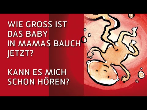 Video-Thumbnail zu Ein Baby im Bauch