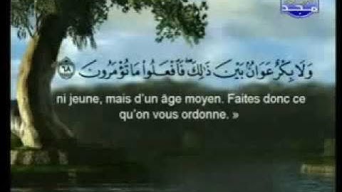 سورة البقرة الشيخ السديس والشريم Al-Baqarah2/7