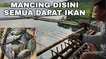 mancing jatiluhur terbaru || semua angler strike ikan nila di spot ini.