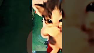 kadita one hit build