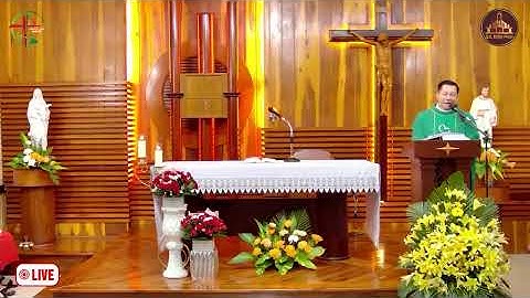 Nghe giảng Lễ Thứ Tư tuần XXXIV Thường Niên (2025)