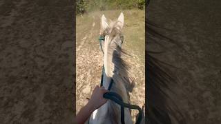 Last Canter Ever On Her