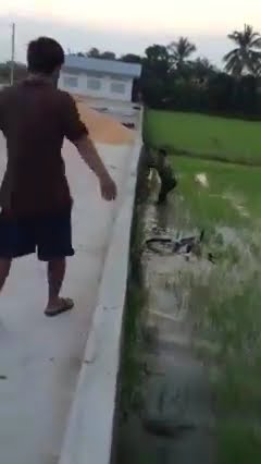 Stupid riding