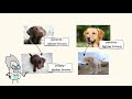 Traits That Shape Us: Exploring Inheritance in Plants and Animals